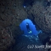 cave_mal_si_h_0062_egy4089.jpg